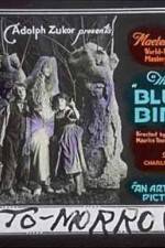 Watch The Blue Bird Gomovies