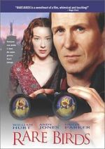 Watch Rare Birds Gomovies