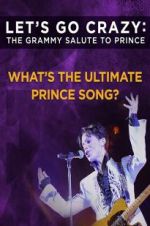 Watch Let\'s Go Crazy: The Grammy Salute to Prince Gomovies