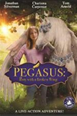 Watch Pony with a Broken Wing Gomovies