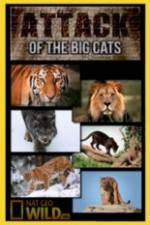 Watch National Geographic Attack Of The Big Cats Gomovies