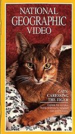 Watch Cats: Caressing the Tiger Gomovies