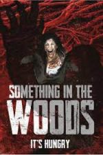 Watch Something in the Woods Gomovies