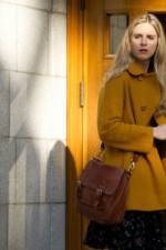 Watch The Company You Keep Gomovies