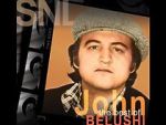 Watch Saturday Night Live: The Best of John Belushi Gomovies