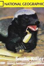 Watch National Geographic: Snake Killers Honey Badgers Of The Kalahari Gomovies