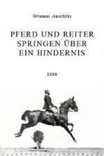 Watch Pferd und Reiter Springen ber ein Hindernis Gomovies