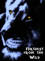Watch Furthest from the Wild Gomovies