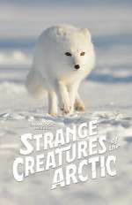 Watch Strange Creatures of the Arctic (TV Special 2022) Gomovies