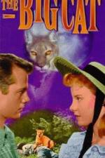 Watch The Big Cat Gomovies