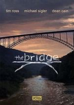 Watch The Bridge Gomovies