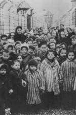 Watch AUSCHWITZ: LIBERATION AND REVENGE Gomovies