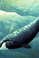 Watch Nature Fellowship of the Whales Gomovies