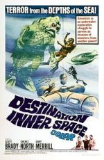 Watch Destination Inner Space Gomovies