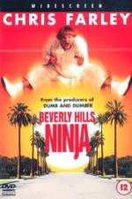 Watch Beverly Hills Ninja Gomovies