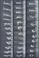 Watch Woman Throwing Baseball Gomovies