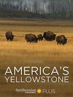 Watch America\'s Yellowstone Gomovies