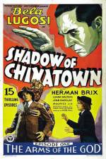 Watch Shadow of Chinatown Gomovies