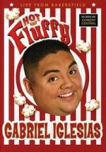 Watch Gabriel Iglesias: Hot and Fluffy Gomovies