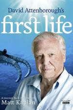 Watch First Life Gomovies