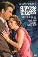 Watch Splendor in the Grass Gomovies