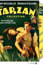 Watch Tarzan Finds a Son Gomovies