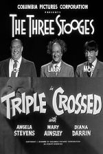 Watch Triple Crossed Gomovies