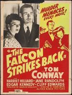 Watch The Falcon Strikes Back Gomovies