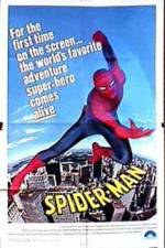 Watch "The Amazing Spider-Man" Pilot Gomovies