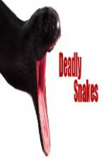 Watch National Geographic Wild Deadly Snakes Gomovies