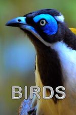 Watch Birds (Short 2021) Gomovies