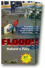 Watch Flood Gomovies