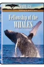 Watch Fellowship Of The Whales Gomovies
