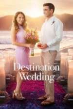 Watch Destination Wedding Gomovies