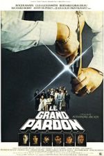 Watch The Big Pardon Gomovies