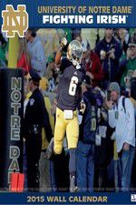 Watch The Fighting Irish Gomovies