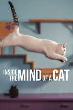 Watch Inside the Mind of a Cat Gomovies