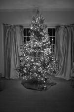 Watch The Christmas Miracle Gomovies