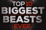 Watch Top 10 Biggest Beasts Ever Gomovies