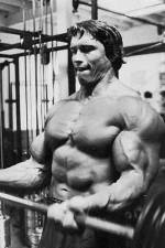 Watch The Comeback Gomovies