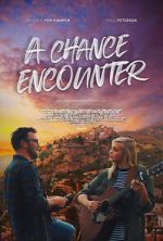 Watch A Chance Encounter Gomovies