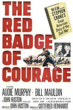 Watch The Red Badge of Courage Gomovies