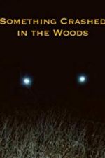 Watch Something Crashed in the Woods Gomovies