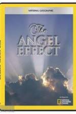 Watch National Geographic Explorer - The Angel Effect Gomovies
