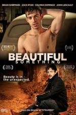 Watch Beautiful Something Gomovies