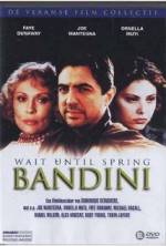 Watch Wait Until Spring, Bandini Gomovies