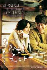 Watch Lost in Love Gomovies