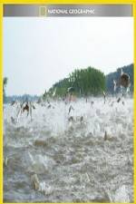 Watch National Geographic Hooked Carp Invasion Gomovies