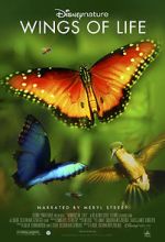 Watch Disneynature: Wings of Life Gomovies