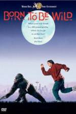 Watch Born to Be Wild Gomovies
